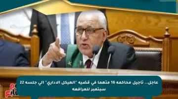 عاجل.. تأجيل محاكمة 16 متهما في قضية “الهيكل الإداري” إلى جلسة 22 سبتمبر للمرافعة
